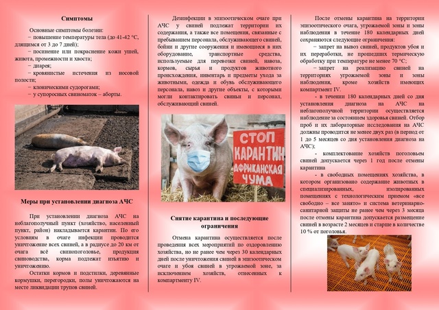 Внимание АЧС!.