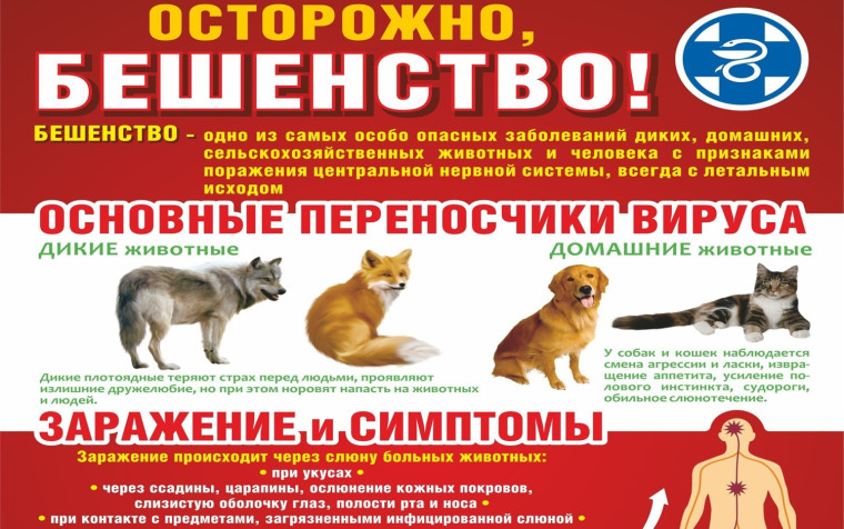 ВНИМАНИЕ! БЕШЕНСТВО НЕИЗЛЕЧИМО!. ВНИМАНИЕ! БЕШЕНСТВО НЕИЗЛЕЧИМО!.